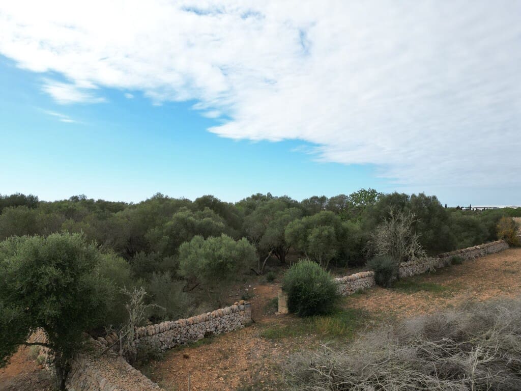 6 quarto Quinta/Casa Rural para venda em Llucmajor com piscina garagem - 5 400 000 € (Ref: 9891847)