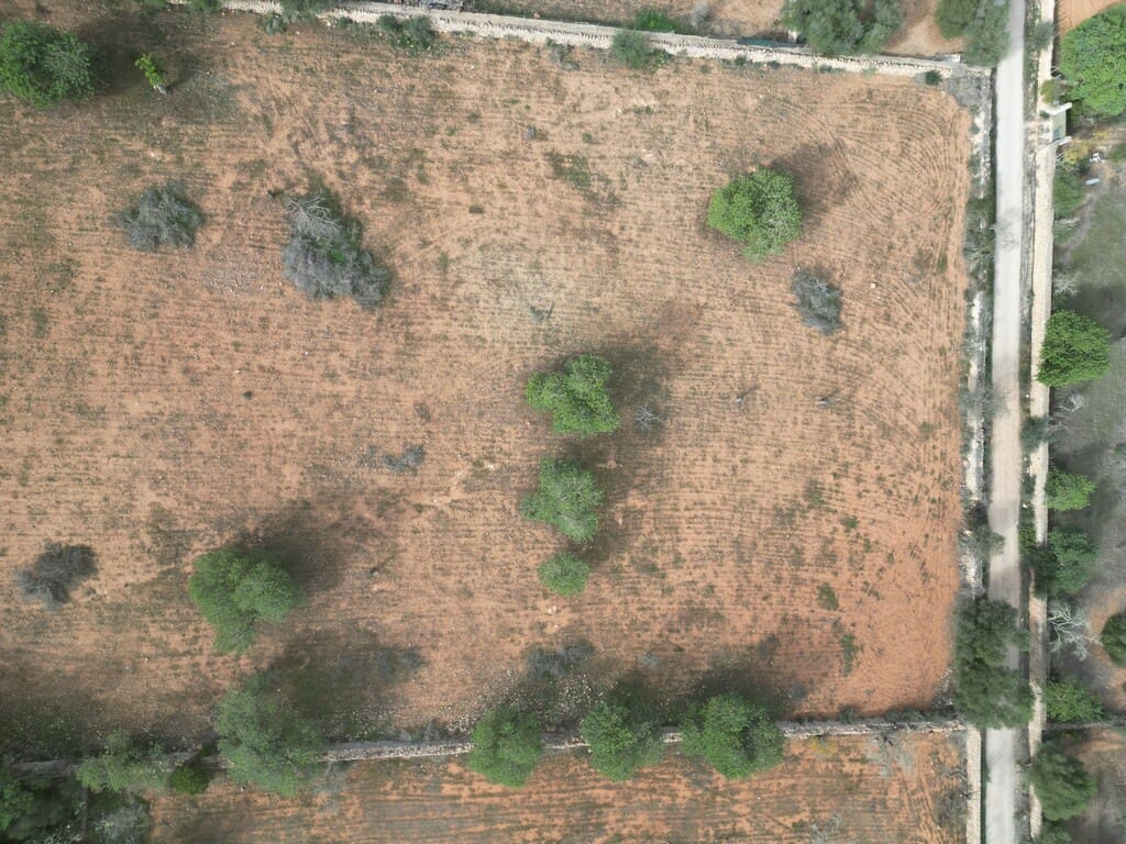 6 quarto Quinta/Casa Rural para venda em Llucmajor com piscina garagem - 5 400 000 € (Ref: 9891848)