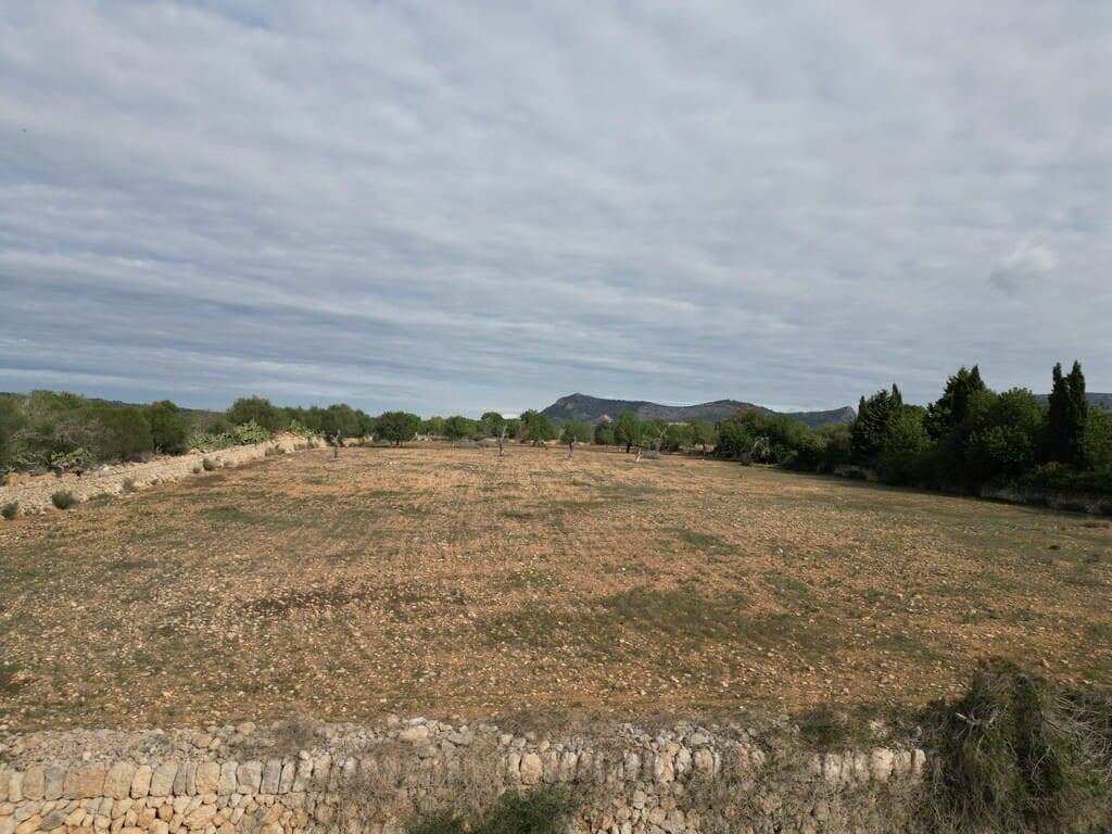 6 quarto Quinta/Casa Rural para venda em Llucmajor com piscina garagem - 5 400 000 € (Ref: 9891848)