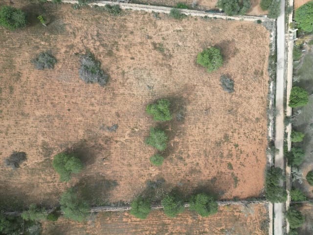 6 quarto Quinta/Casa Rural para venda em Llucmajor com piscina garagem - 5 400 000 € (Ref: 9891848)