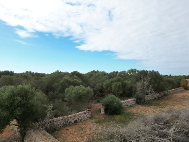 Area Edificabile in vendita in Llucmajor - 690.000 € (Rif: 9891849)