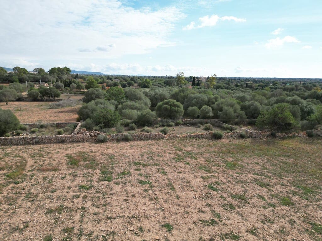 Terreno para Construção para venda em Llucmajor - 690 000 € (Ref: 9891849)