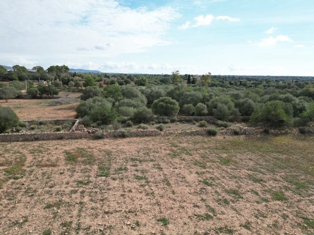 Area Edificabile in vendita in Llucmajor - 690.000 € (Rif: 9891849)