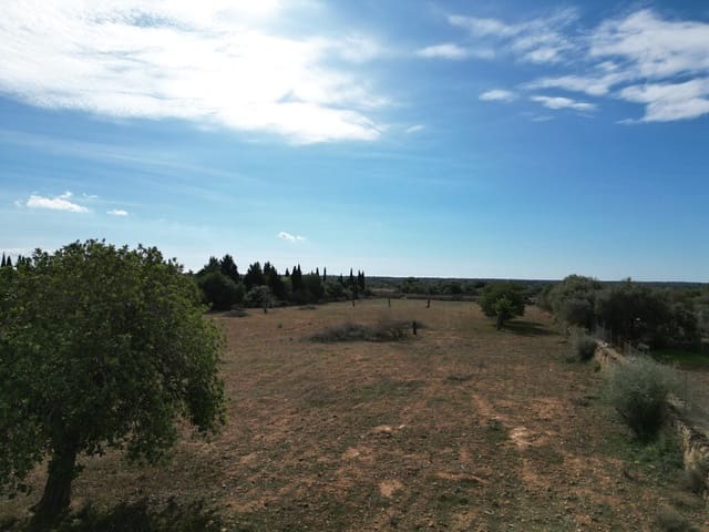Area Edificabile in vendita in Llucmajor - 690.000 € (Rif: 9891849)