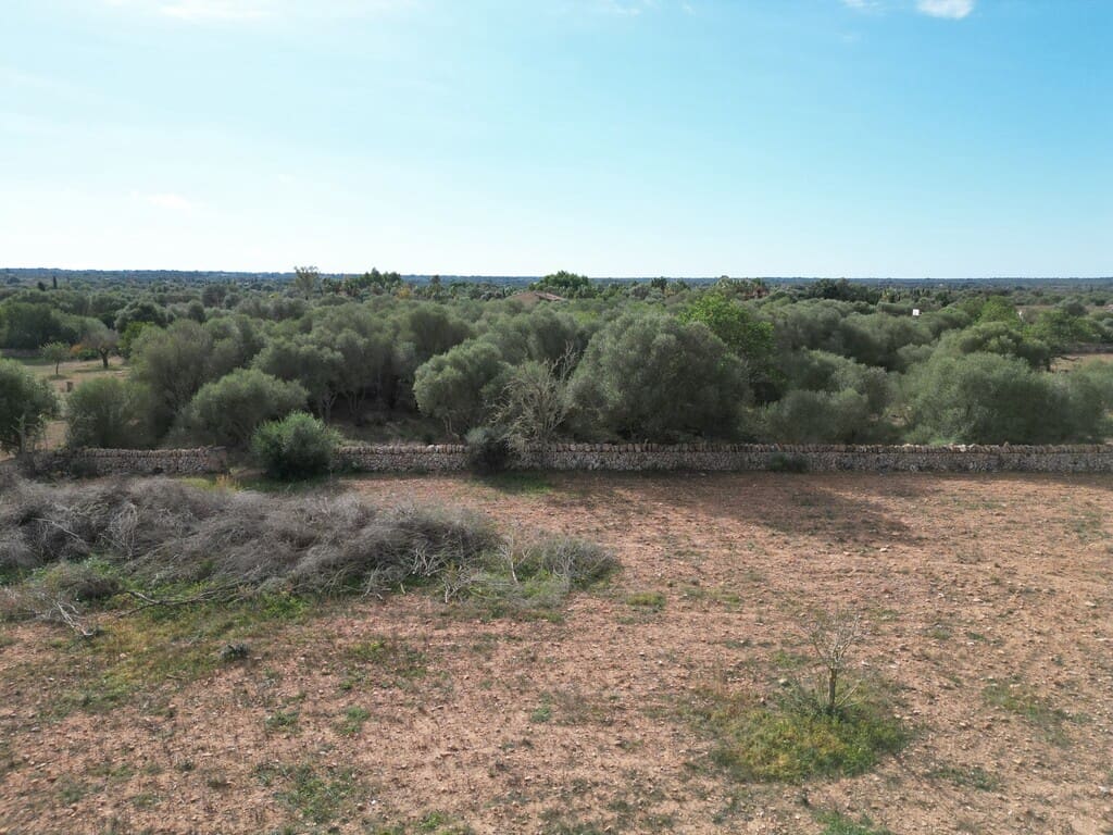 Terreno para Construção para venda em Llucmajor - 690 000 € (Ref: 9891849)