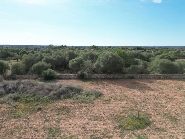Area Edificabile in vendita in Llucmajor - 690.000 € (Rif: 9891849)