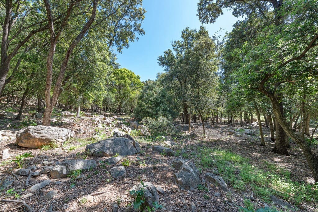3 bedroom Finca/Country House for sale in Pollensa / Pollenca - € 1,795,000 (Ref: 9904020)