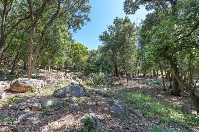 3 bedroom Finca/Country House for sale in Pollensa / Pollença - € 1,795,000 (Ref: 9904020)