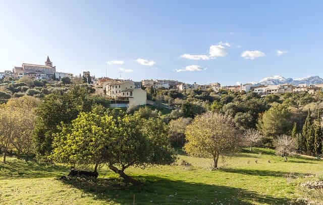 7 sypialnia Dom na sprzedaż w Campanet z basenem garażem - 2 995 000 € (Ref: 9972949)
