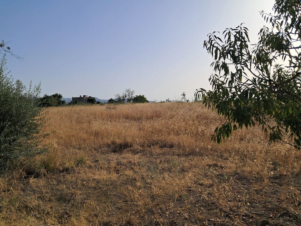 Grunde uden byggetilladelser til salg i Sant Antoni de Portmany - € 1.300.000 (Ref: 9981854)