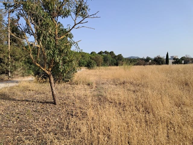 Grunde uden byggetilladelser til salg i Sant Antoni de Portmany - € 1.300.000 (Ref: 9981854)