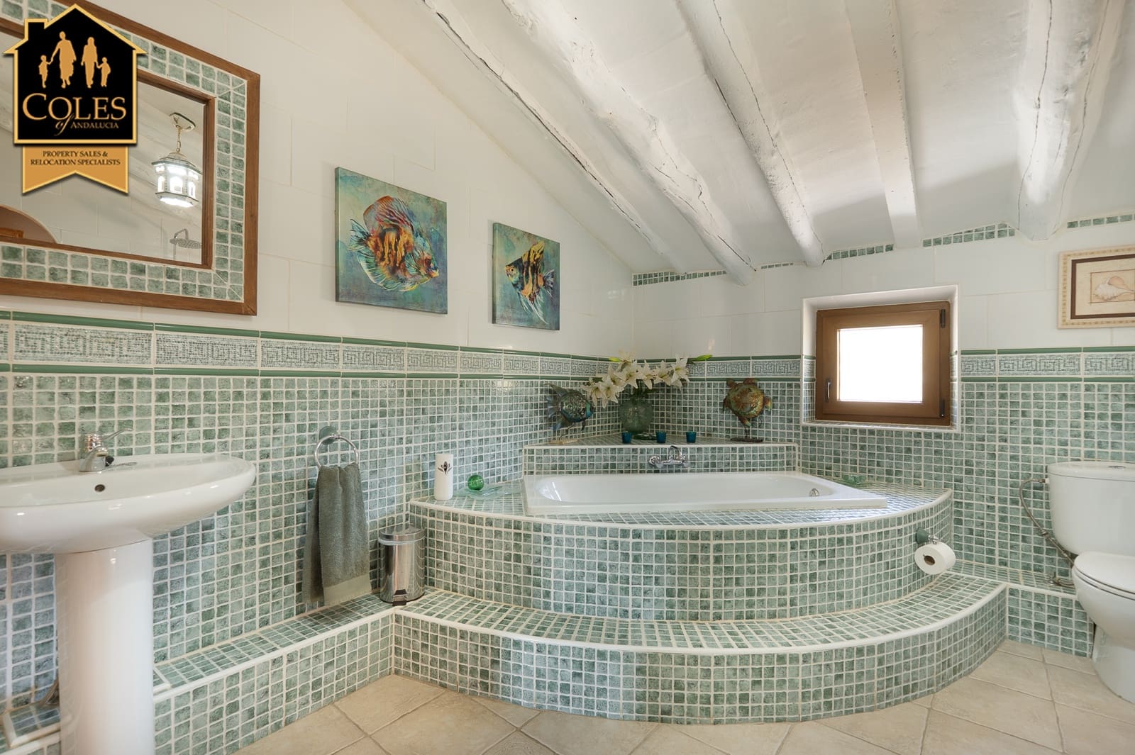 6 slaapkamer Finca/Landhuis te koop in Oria met zwembad garage - € 370.000 (Ref: 10021445)