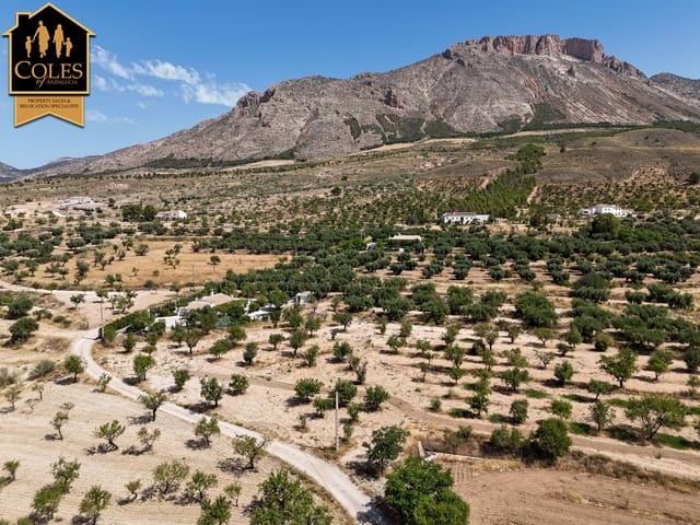 3 slaapkamer Villa te koop in Vélez-Blanco met garage - € 179.999 (Ref: 9142245)