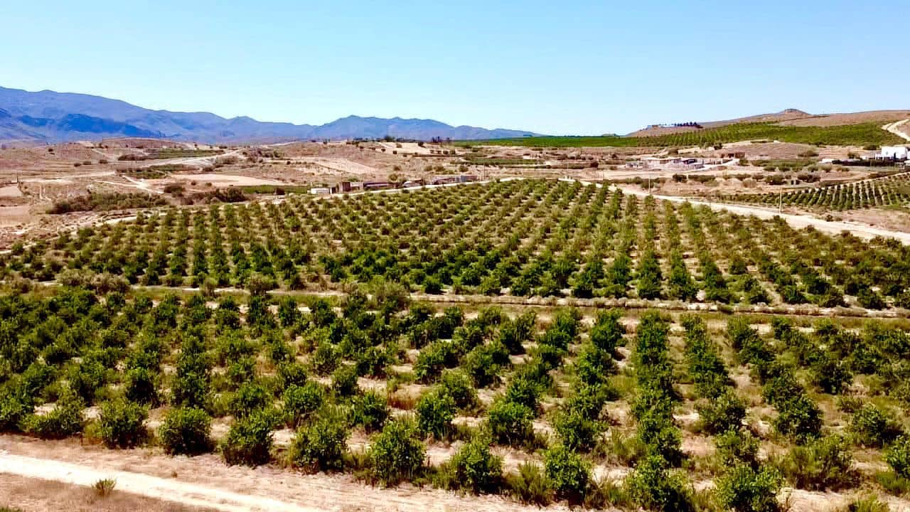 3 makuuhuone Huvila myytävänä paikassa Los Gallardos mukana uima-altaan 
autotalli - 349 950 € (Ref: 9471559)