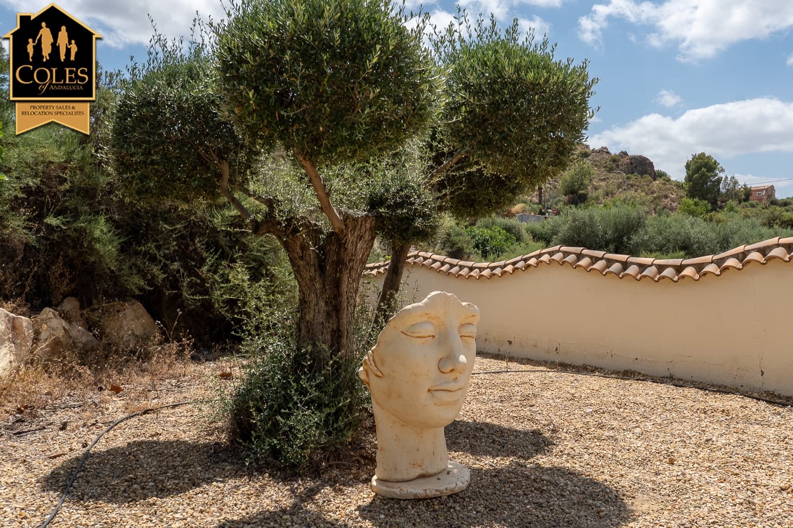 5 bedroom Villa for sale in Cantoria with garage - € 420,000 (Ref: 9914768)