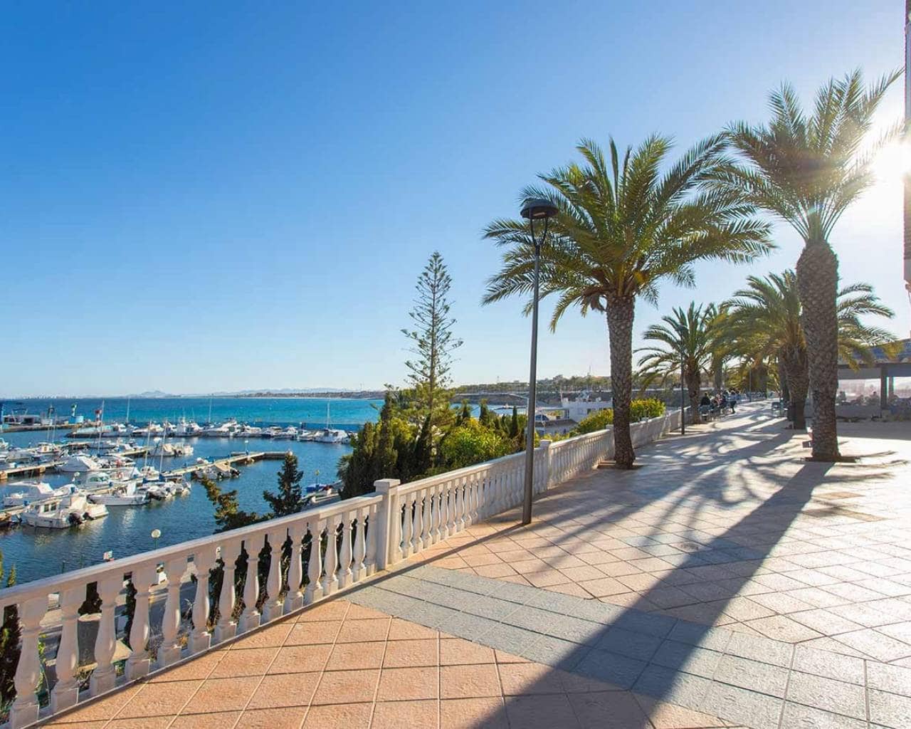 2 bedroom Bungalow for sale in Pilar de la Horadada with pool garage - € 259,900 (Ref: 8853202)