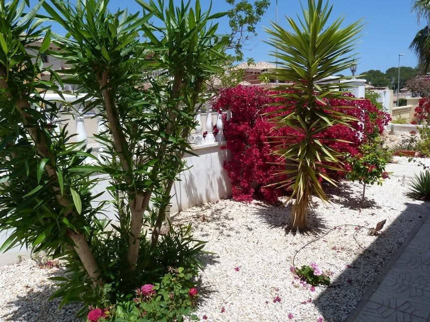 3 chambre Villa/Maison à vendre à Pinar de Campoverde avec piscine - 249 000 € (Ref: 8949764)