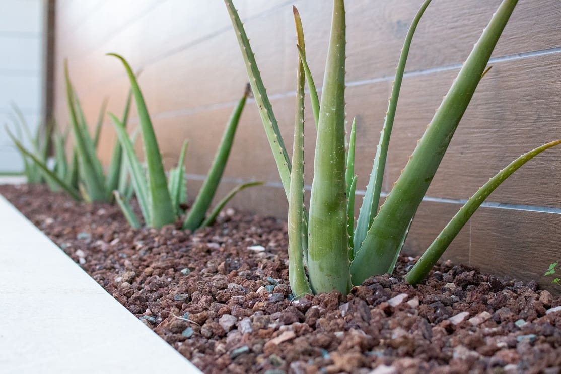 3 soveværelse Villa til salg i Los Montesinos med swimmingpool - € 509.000 (Ref: 9676360)