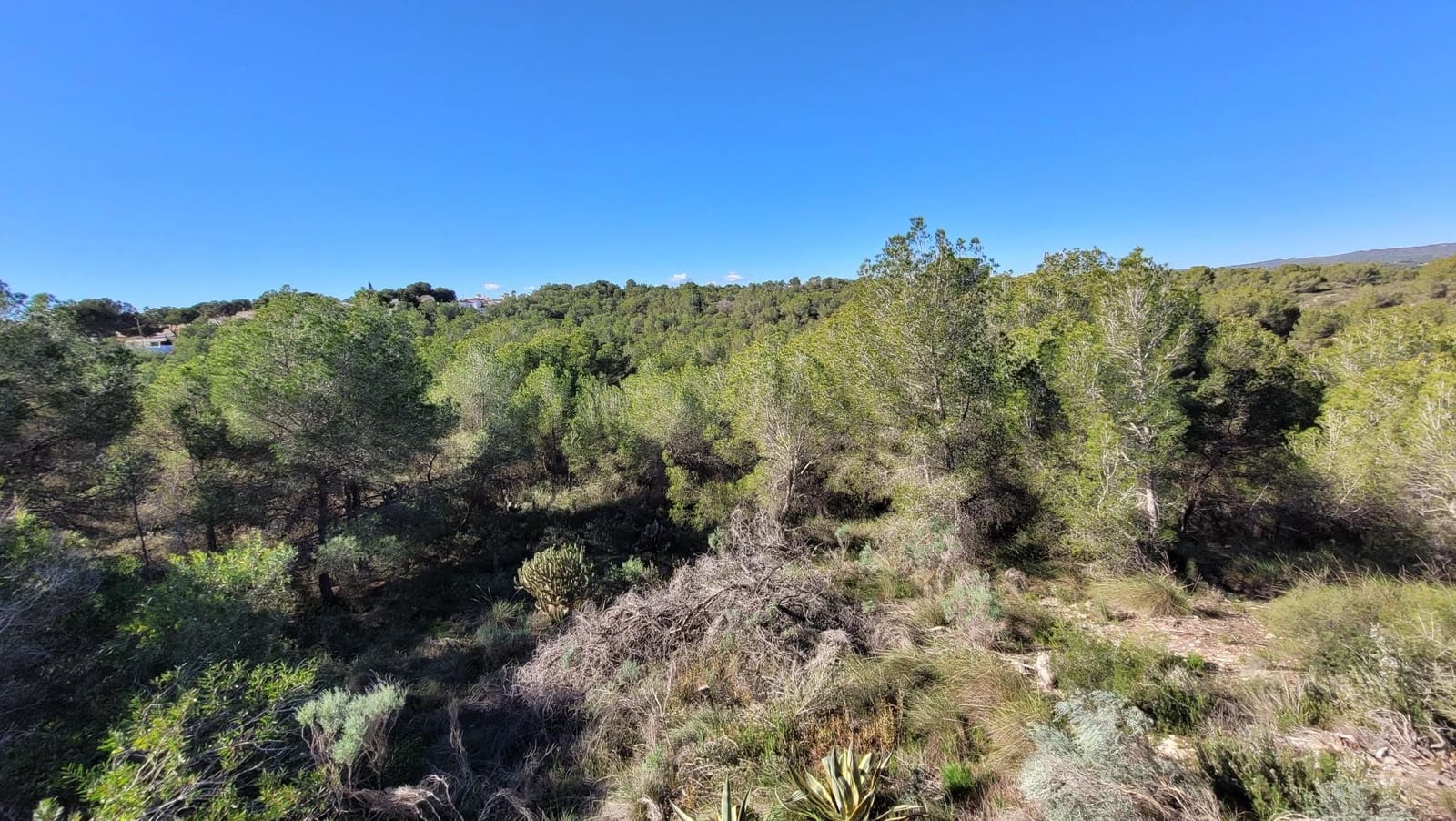 3 camera da letto Villa in vendita in Pinar de Campoverde con garage - 319.950 € (Rif: 9676367)