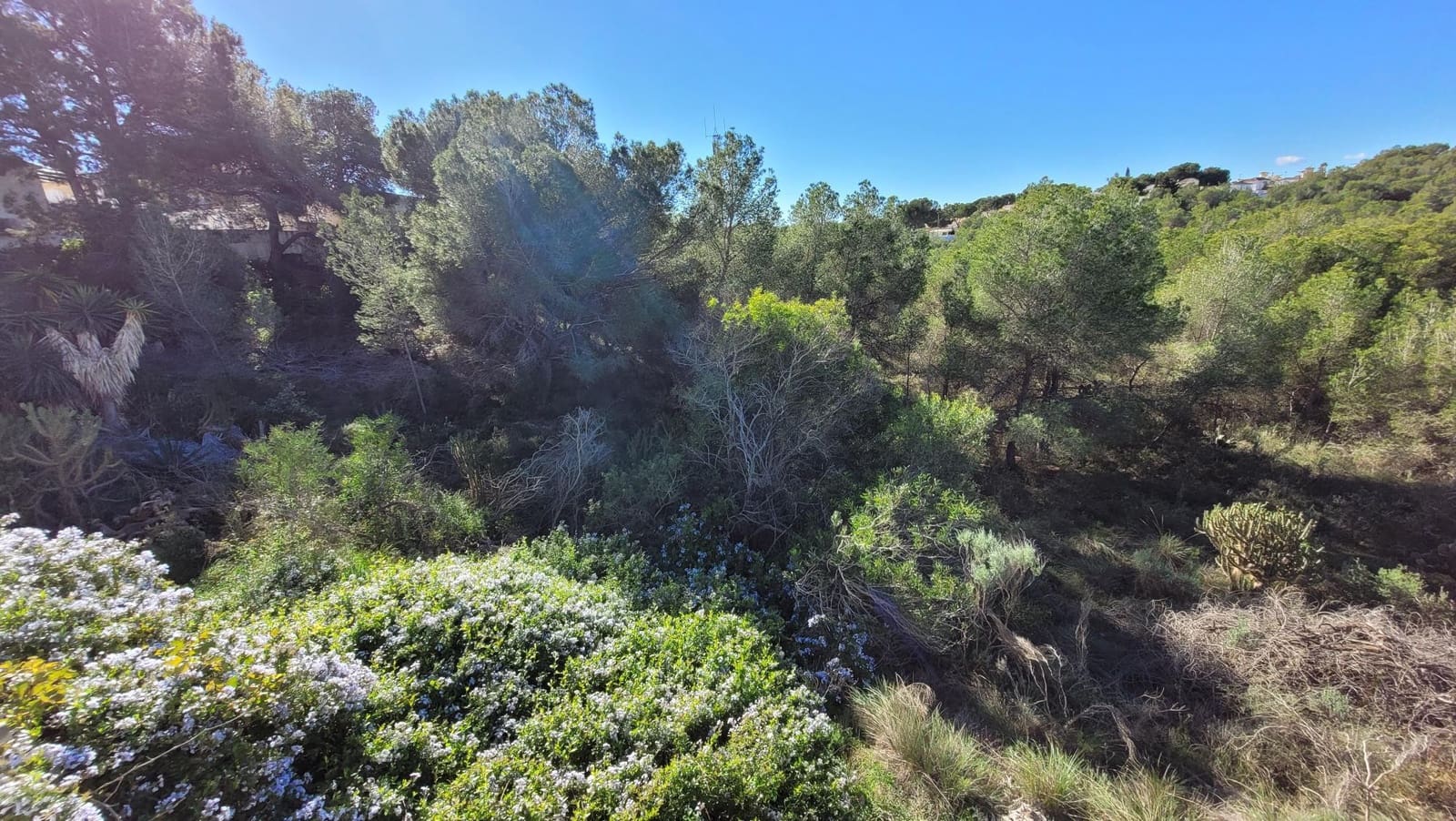 3 camera da letto Villa in vendita in Pinar de Campoverde con garage - 319.950 € (Rif: 9676367)