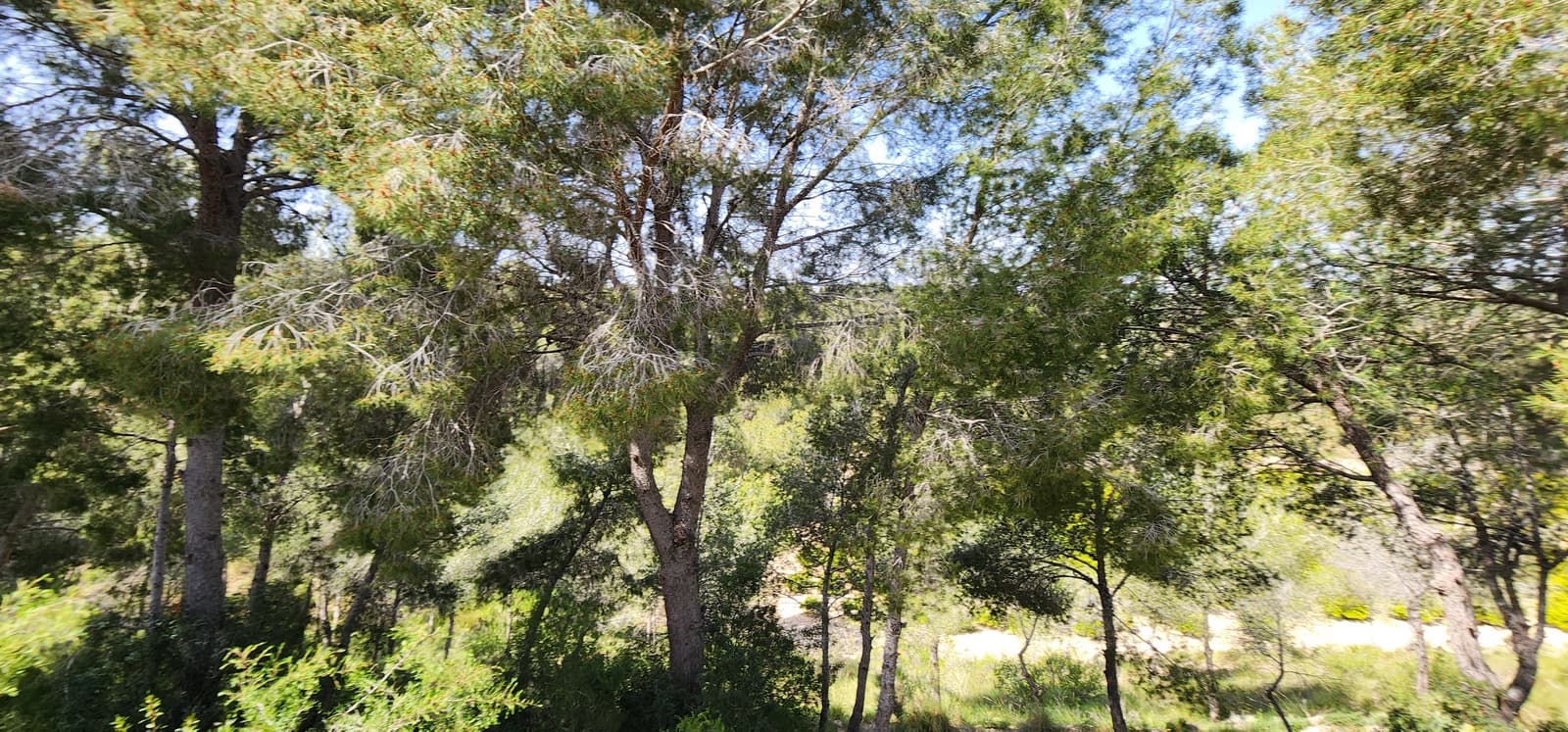 2 quarto Moradia em Banda para venda em Pinar de Campoverde - 129 000 € (Ref: 9801361)