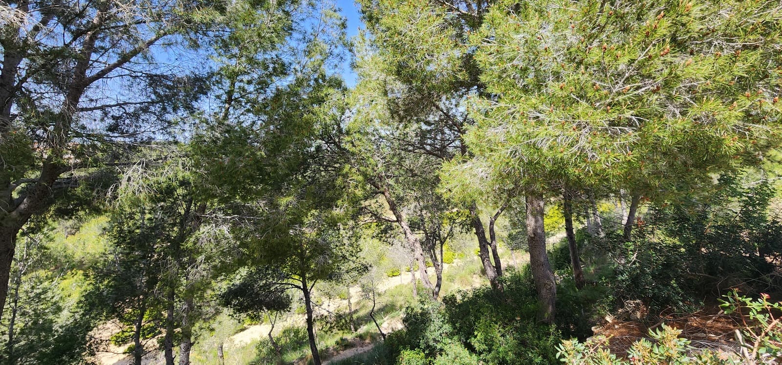 2 quarto Moradia em Banda para venda em Pinar de Campoverde - 129 000 € (Ref: 9801361)