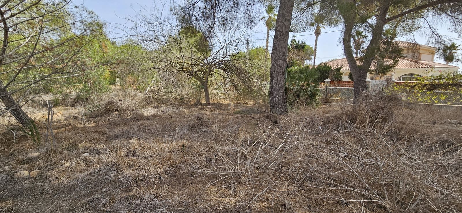 Building Plot for sale in Pinar de Campoverde - € 180,000 (Ref: 9810435)