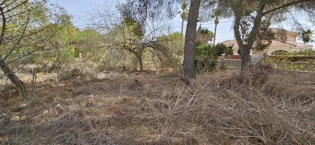 Building Plot for sale in Pinar de Campoverde, Pilar de la Horadada - € 180,000 (Ref: 9810435)