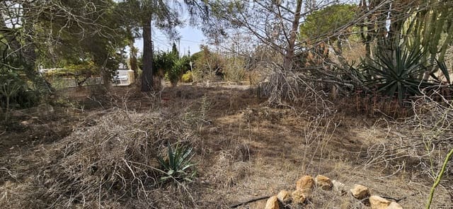 Building Plot for sale in Pinar de Campoverde, Pilar de la Horadada - € 180,000 (Ref: 9810435)