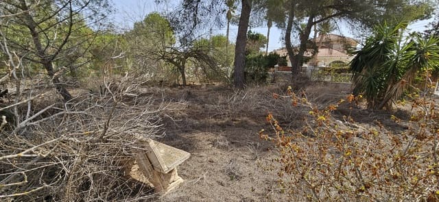 Building Plot for sale in Pinar de Campoverde, Pilar de la Horadada - € 180,000 (Ref: 9810435)