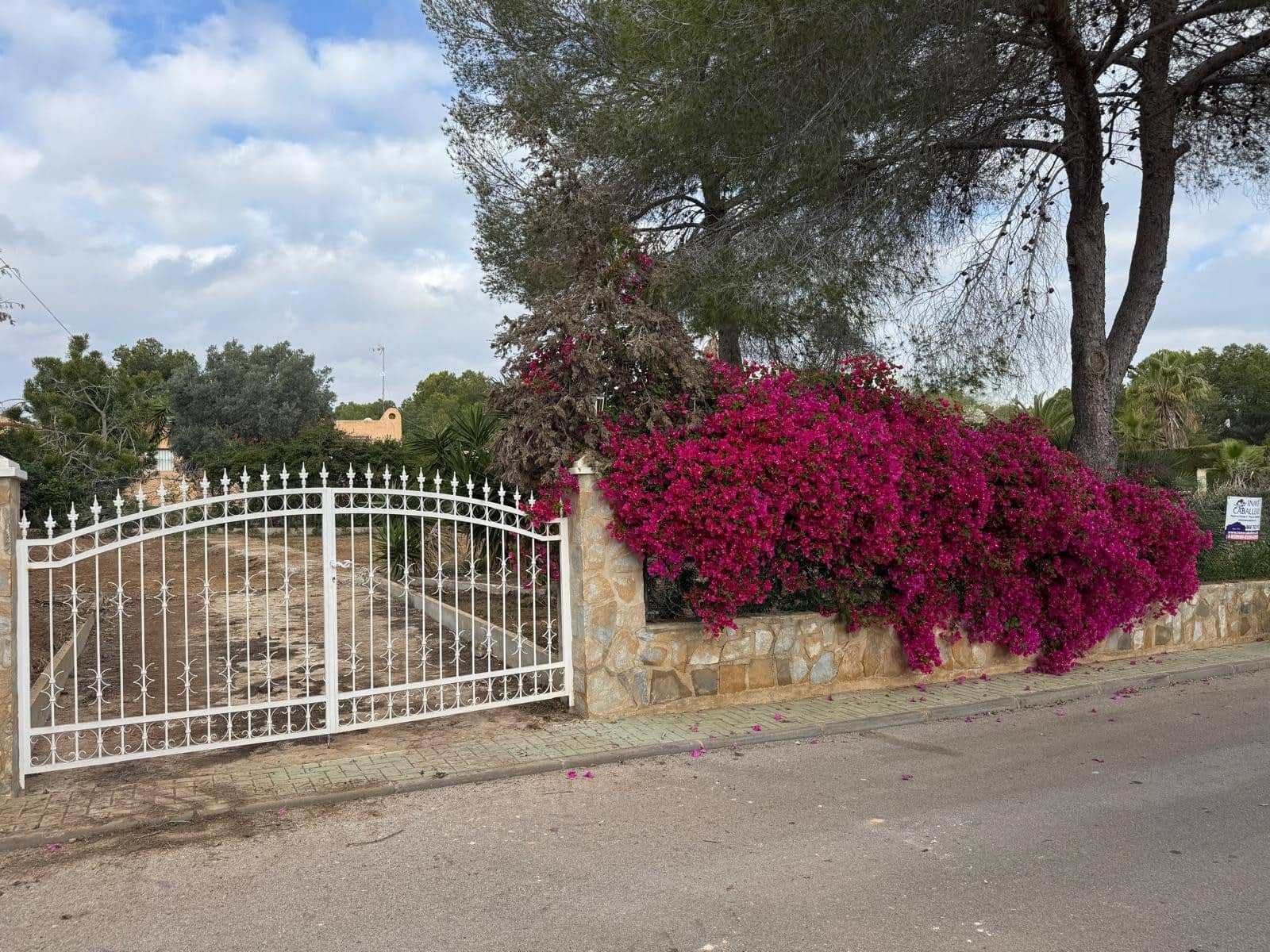 Building Plot for sale in Pinar de Campoverde - € 180,000 (Ref: 9810435)