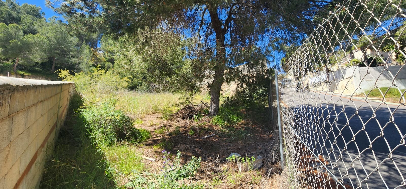 Bauplatz zu verkaufen in Pinar de Campoverde - 129.000 € (Ref: 9964370)