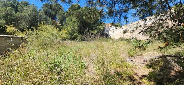 Tomt till salu i Pinar de Campoverde, Pilar de la Horadada - 129 000 € (Ref: 9964370)