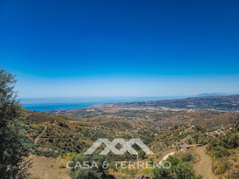 Chalet de 4 habitaciones en Arenas en venta con piscina garaje - 980.000 € (Ref: 10008876)