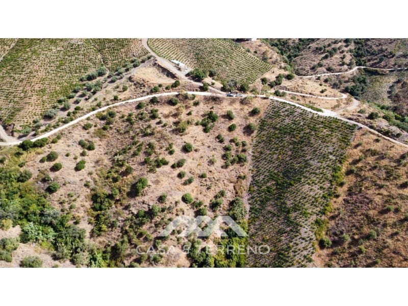 Terreno Não Urbanizado para venda em Almachar - 64 999 € (Ref: 10035125)