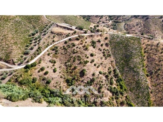 Terreno Não Urbanizado para venda em Almáchar - 64 999 € (Ref: 10035125)