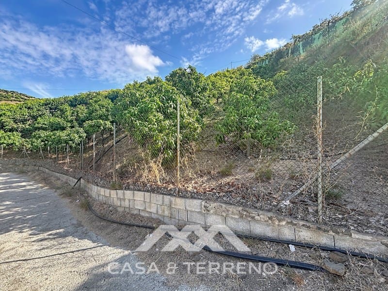 3 soveværelse Villa til salg i Velez-Malaga med swimmingpool - € 320.000 (Ref: 10115656)