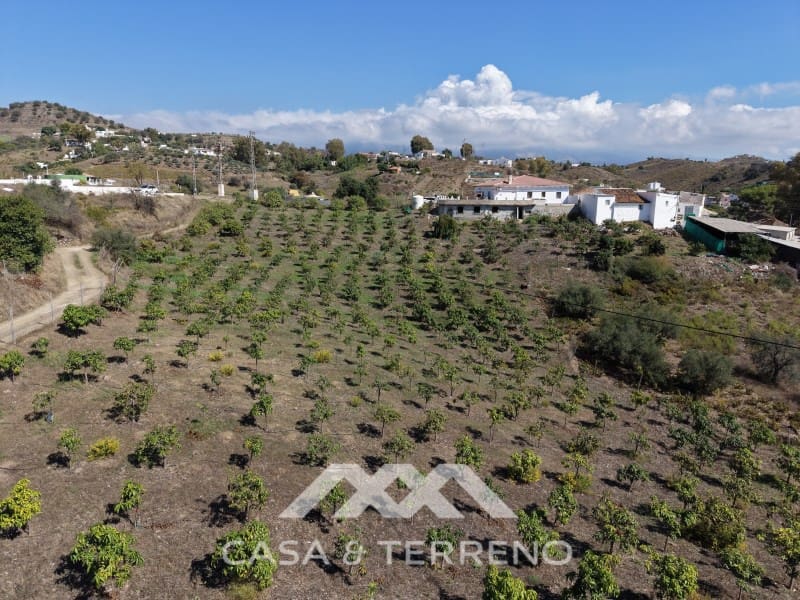 6 makuuhuone Maalaistalo myytävänä paikassa Benamargosa mukana uima-altaan - 275 000 € (Ref: 10164881)