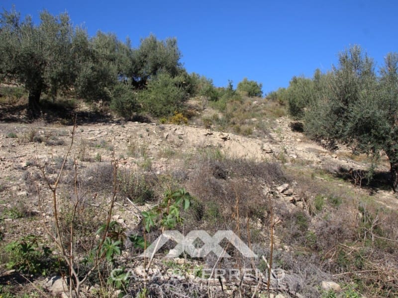 Bouwgrond te koop in Vinuela - € 70.800 (Ref: 4453903)