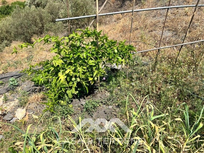 Area Edificabile in vendita in Torrox - 159.000 € (Rif: 4454314)