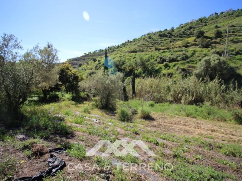 Area Edificabile in vendita in Torrox - 159.000 € (Rif: 4454314)