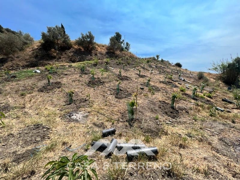 Area Edificabile in vendita in Torrox - 159.000 € (Rif: 4454314)