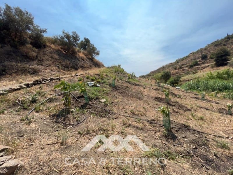 Area Edificabile in vendita in Torrox - 159.000 € (Rif: 4454314)