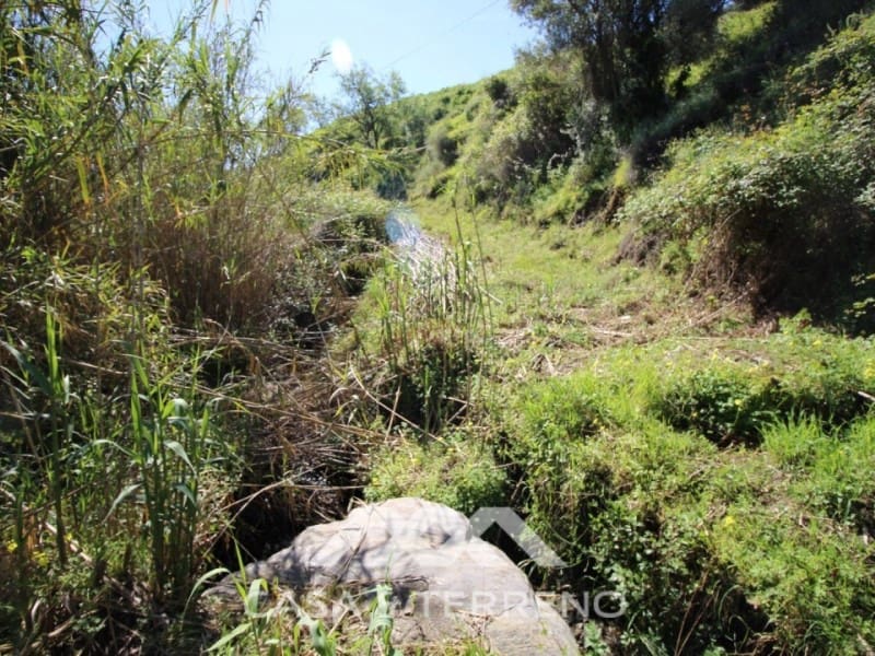 Area Edificabile in vendita in Torrox - 159.000 € (Rif: 4454314)