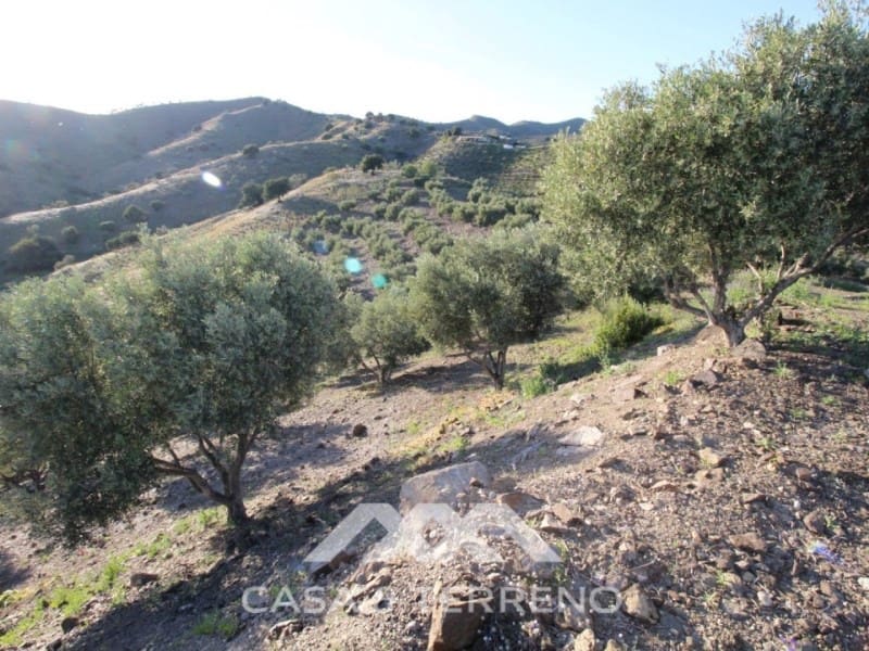 Grond te koop in Benajarafe - € 159.000 (Ref: 4454316)