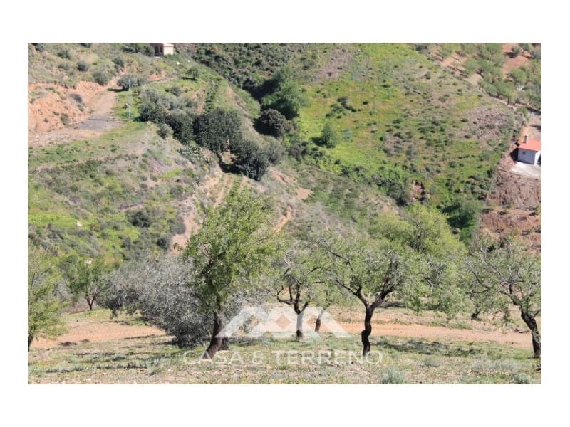 Byggegrund til salg i El Borge - € 250.000 (Ref: 4795270)