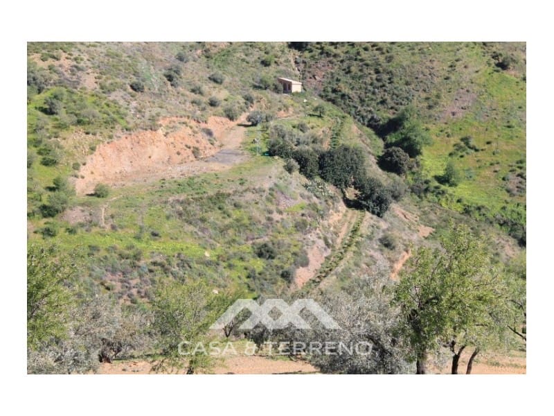 Byggegrund til salg i El Borge - € 250.000 (Ref: 4795270)