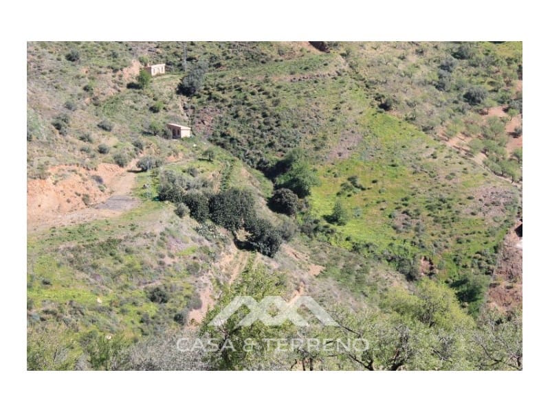 Byggegrund til salg i El Borge - € 250.000 (Ref: 4795270)