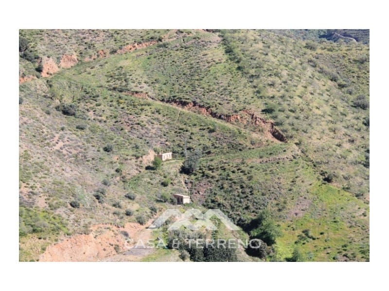 Byggegrund til salg i El Borge - € 250.000 (Ref: 4795270)