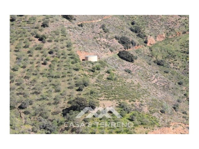 Tomt till salu i El Borge - 250 000 € (Ref: 4795270)